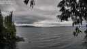 ./images/koeye/fitz-hugh/20250530/fitz-hugh20250530_165011M.jpg