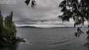 ./images/koeye/fitz-hugh/20250530/fitz-hugh20250530_165510M.jpg