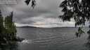 ./images/koeye/fitz-hugh/20250530/fitz-hugh20250530_170011M.jpg