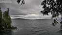 ./images/koeye/fitz-hugh/20250530/fitz-hugh20250530_170509M.jpg