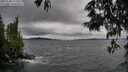 ./images/koeye/fitz-hugh/20250530/fitz-hugh20250530_171010M.jpg
