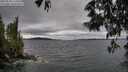 ./images/koeye/fitz-hugh/20250530/fitz-hugh20250530_173509M.jpg
