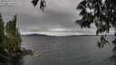 ./images/koeye/fitz-hugh/20250530/fitz-hugh20250530_174510M.jpg