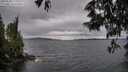./images/koeye/fitz-hugh/20250530/fitz-hugh20250530_175010M.jpg