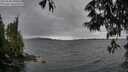 ./images/koeye/fitz-hugh/20250530/fitz-hugh20250530_180509M.jpg