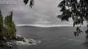 ./images/koeye/fitz-hugh/20250530/fitz-hugh20250530_182510M.jpg