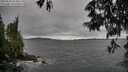 ./images/koeye/fitz-hugh/20250530/fitz-hugh20250530_183009M.jpg