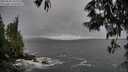 ./images/koeye/fitz-hugh/20250530/fitz-hugh20250530_185508M.jpg