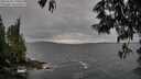 ./images/koeye/fitz-hugh/20250530/fitz-hugh20250530_190009M.jpg