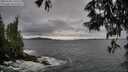 ./images/koeye/fitz-hugh/20250530/fitz-hugh20250530_190509M.jpg