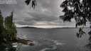 ./images/koeye/fitz-hugh/20250530/fitz-hugh20250530_191009M.jpg