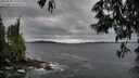 ./images/koeye/fitz-hugh/20250530/fitz-hugh20250530_192008M.jpg