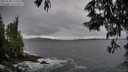 ./images/koeye/fitz-hugh/20250530/fitz-hugh20250530_193506M.jpg