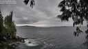 ./images/koeye/fitz-hugh/20250530/fitz-hugh20250530_194009M.jpg