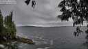 ./images/koeye/fitz-hugh/20250530/fitz-hugh20250530_195508M.jpg
