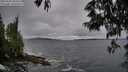 ./images/koeye/fitz-hugh/20250530/fitz-hugh20250530_200009M.jpg
