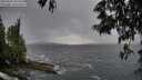 ./images/koeye/fitz-hugh/20250530/fitz-hugh20250530_203508M.jpg
