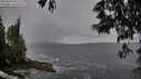 ./images/koeye/fitz-hugh/20250530/fitz-hugh20250530_204509M.jpg