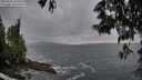 ./images/koeye/fitz-hugh/20250530/fitz-hugh20250530_205009M.jpg