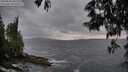 ./images/koeye/fitz-hugh/20250530/fitz-hugh20250530_205508M.jpg
