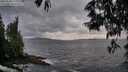 ./images/koeye/fitz-hugh/20250530/fitz-hugh20250530_210009M.jpg