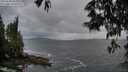 ./images/koeye/fitz-hugh/20250530/fitz-hugh20250530_212009M.jpg