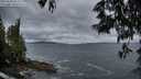 ./images/koeye/fitz-hugh/20250530/fitz-hugh20250530_212509M.jpg