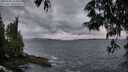 ./images/koeye/fitz-hugh/20250530/fitz-hugh20250530_213009M.jpg