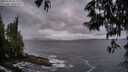 ./images/koeye/fitz-hugh/20250530/fitz-hugh20250530_213508M.jpg