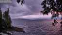 ./images/koeye/fitz-hugh/20250530/fitz-hugh20250530_214508M.jpg