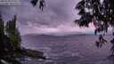 ./images/koeye/fitz-hugh/20250530/fitz-hugh20250530_215009M.jpg