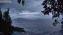 ./images/koeye/fitz-hugh/20250530/fitz-hugh20250530_220009M.jpg