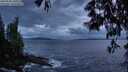 ./images/koeye/fitz-hugh/20250530/fitz-hugh20250530_220508M.jpg