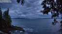 ./images/koeye/fitz-hugh/20250530/fitz-hugh20250530_221007M.jpg