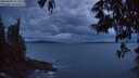 ./images/koeye/fitz-hugh/20250530/fitz-hugh20250530_221508M.jpg
