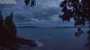 ./images/koeye/fitz-hugh/20250530/fitz-hugh20250530_222508M.jpg