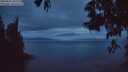 ./images/koeye/fitz-hugh/20250531/fitz-hugh20250531_043508M.jpg