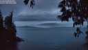 ./images/koeye/fitz-hugh/20250531/fitz-hugh20250531_044508M.jpg