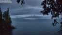 ./images/koeye/fitz-hugh/20250531/fitz-hugh20250531_045009M.jpg