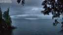 ./images/koeye/fitz-hugh/20250531/fitz-hugh20250531_045509M.jpg