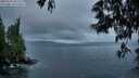 ./images/koeye/fitz-hugh/20250531/fitz-hugh20250531_051509M.jpg