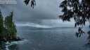 ./images/koeye/fitz-hugh/20250531/fitz-hugh20250531_052008M.jpg