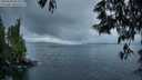 ./images/koeye/fitz-hugh/20250531/fitz-hugh20250531_052507M.jpg