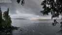 ./images/koeye/fitz-hugh/20250531/fitz-hugh20250531_061009M.jpg
