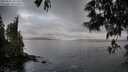 ./images/koeye/fitz-hugh/20250531/fitz-hugh20250531_061509M.jpg