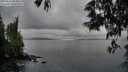 ./images/koeye/fitz-hugh/20250531/fitz-hugh20250531_063011M.jpg