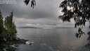 ./images/koeye/fitz-hugh/20250531/fitz-hugh20250531_063510M.jpg