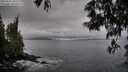 ./images/koeye/fitz-hugh/20250531/fitz-hugh20250531_065510M.jpg