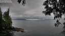 ./images/koeye/fitz-hugh/20250531/fitz-hugh20250531_070011M.jpg