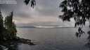 ./images/koeye/fitz-hugh/20250531/fitz-hugh20250531_070510M.jpg